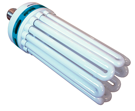 CFL Power Plant Envirogro