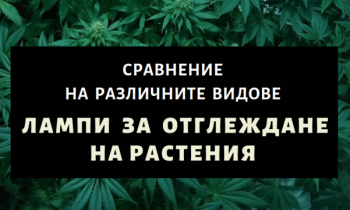 Видове лампи за растения